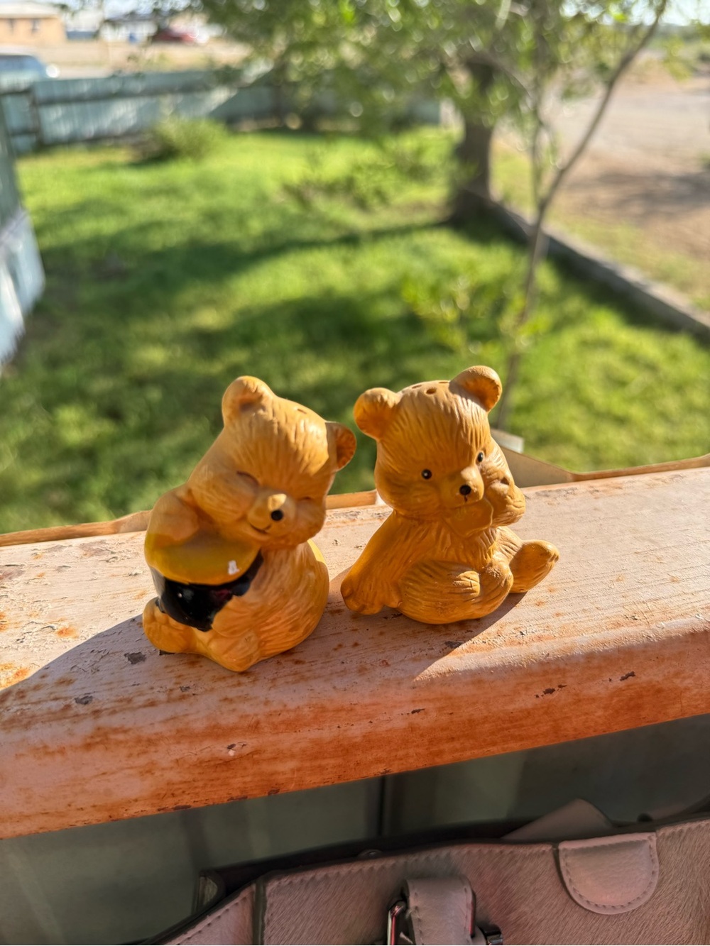 Vintage Bears Eating Honey Salt & Pepper Shakers- Kitchen Accent